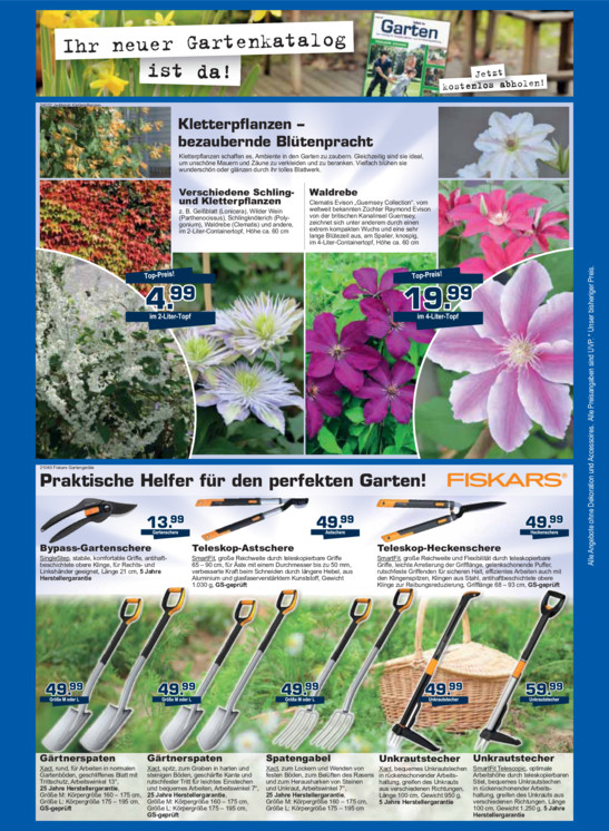 Bildansicht der Seite