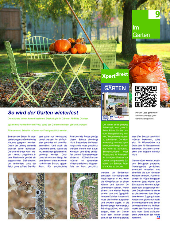 Bildansicht der Seite